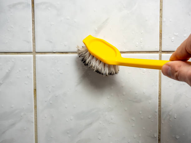 Best Mold Remediation  in Montegut, LA